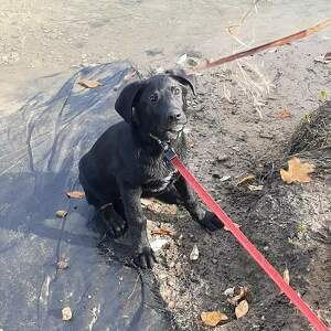 Fundraising Page: Jaime Morse